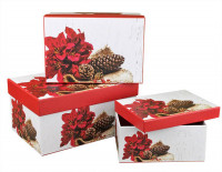 Набор коробок Прямоугольник 3 шт. 22*15*11,5 см.  Шишки и красные цветы  SY3367-480NG
