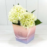 Коробка для цветов Конус с ручками 17*17*18 см. "Flowers" градиент розовый-сиреневый  ТО-720118/10