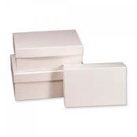 Набор коробок Прямоугольник 3 шт. 23*16*9,5 см. Белый  Пин74-ФБел
