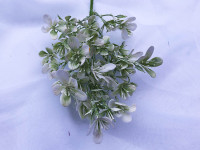 Искусственная зелень Цветы мелкие белые  СД-5583